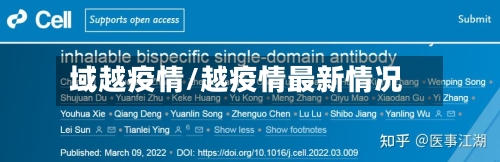 域越疫情/越疫情最新情况
