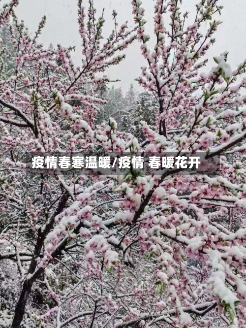 疫情春寒温暖/疫情 春暖花开