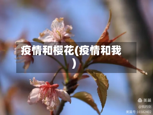 疫情和樱花(疫情和我)