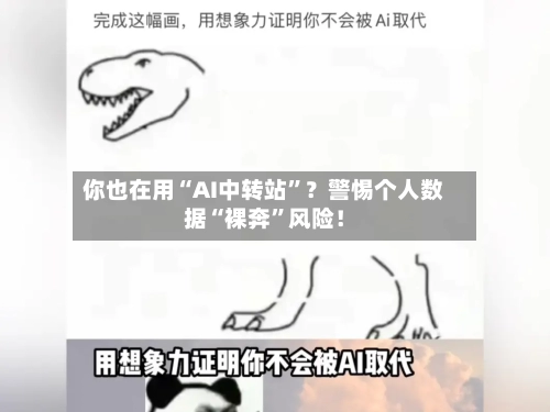 你也在用“AI中转站”？警惕个人数据“裸奔”风险！