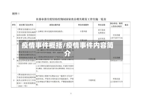 疫情事件概括/疫情事件内容简介-第3张图片
