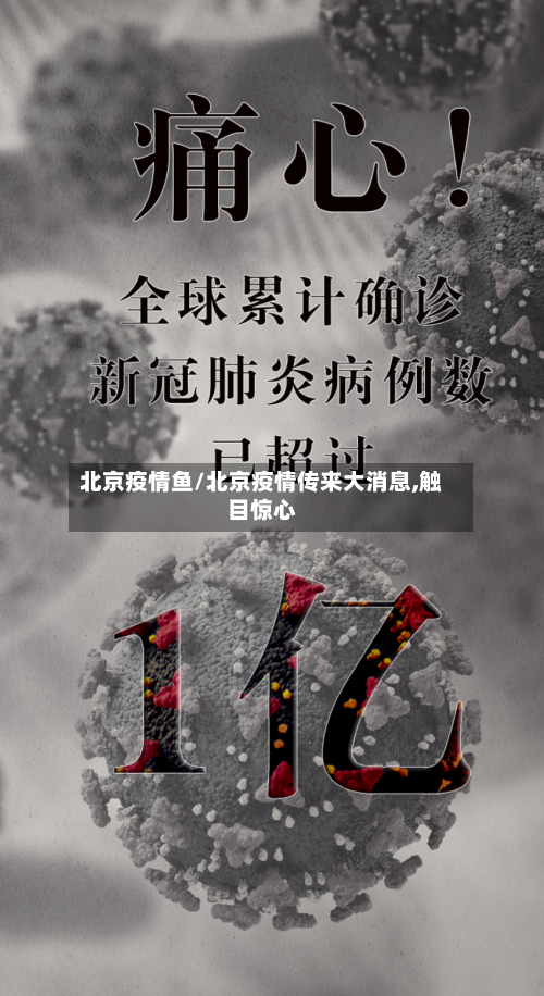 北京疫情鱼/北京疫情传来大消息,触目惊心