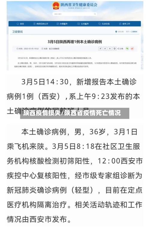 陕西疫情损失/陕西省疫情死亡情况