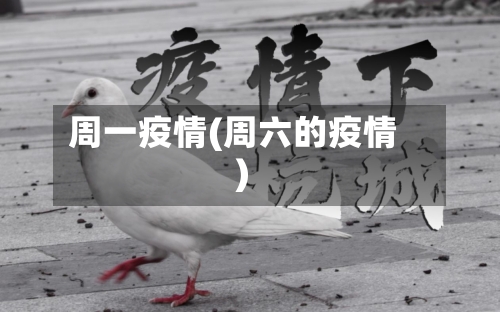 周一疫情(周六的疫情)-第2张图片