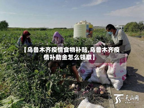 【乌鲁木齐疫情食物补贴,乌鲁木齐疫情补助金怎么领取】-第2张图片