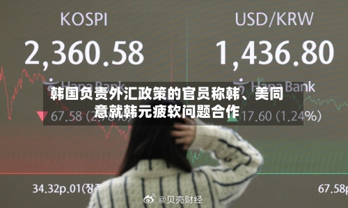 韩国负责外汇政策的官员称韩	、美同意就韩元疲软问题合作-第2张图片