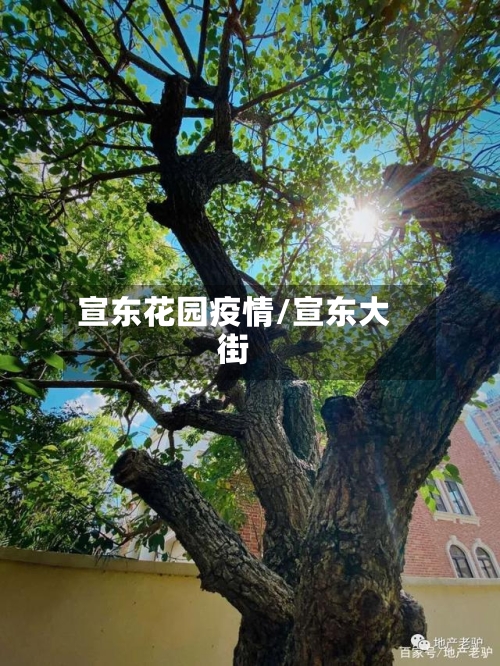 宣东花园疫情/宣东大街