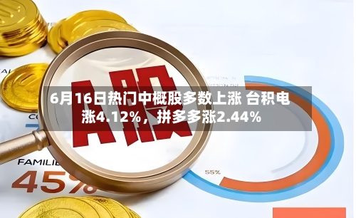 6月16日热门中概股多数上涨 台积电涨4.12%，拼多多涨2.44%-第2张图片