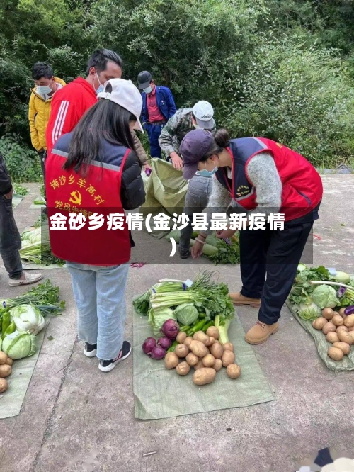 金砂乡疫情(金沙县最新疫情)
