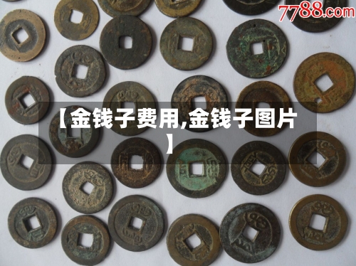 【金钱子费用,金钱子图片】-第3张图片