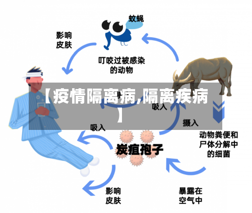 【疫情隔离病,隔离疾病】-第2张图片