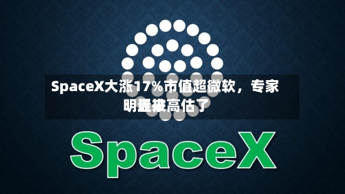 SpaceX大涨17%市值超微软，专家：近来明显被高估了