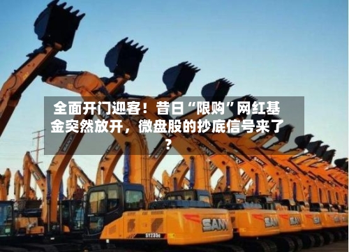 全面开门迎客！昔日“限购”网红基金突然放开	，微盘股的抄底信号来了？-第3张图片