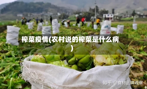 榨菜疫情(农村说的榨菜是什么病)