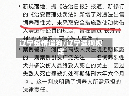辽宁疫情遛狗/辽宁遛狗规定-第3张图片