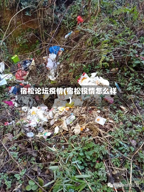 宿松论坛疫情(宿松役情怎么样)