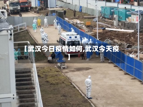 【武汉今日疫情如何,武汉今天疫】