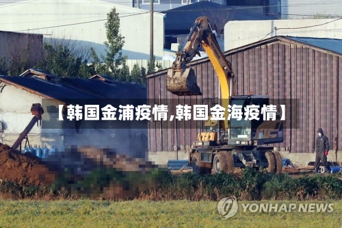 【韩国金浦疫情,韩国金海疫情】-第2张图片