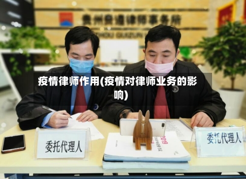 疫情律师作用(疫情对律师业务的影响)-第2张图片