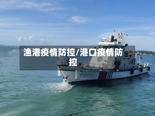 渔港疫情防控/港口疫情防控-第2张图片