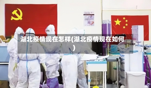 湖北疫情现在怎样(湖北疫情现在如何)-第2张图片