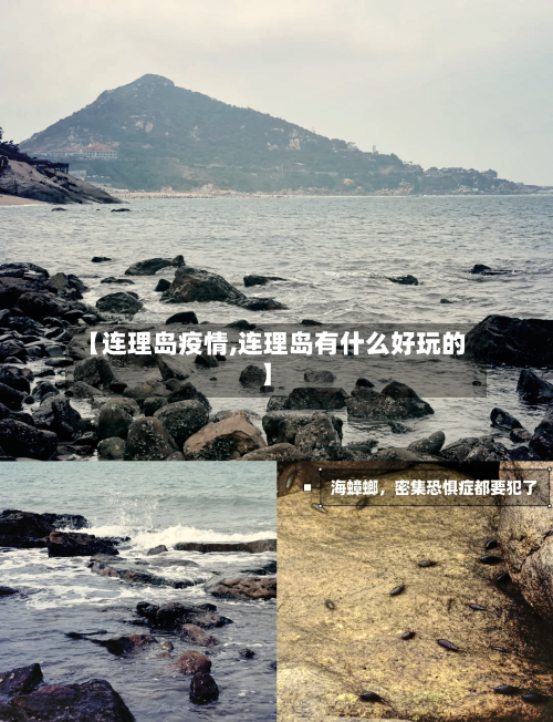 【连理岛疫情,连理岛有什么好玩的】-第2张图片