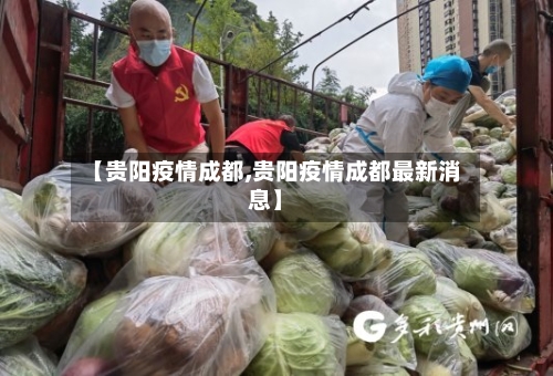 【贵阳疫情成都,贵阳疫情成都最新消息】-第3张图片