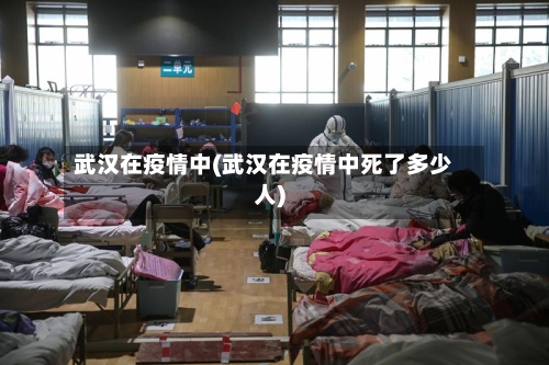 武汉在疫情中(武汉在疫情中死了多少人)-第3张图片