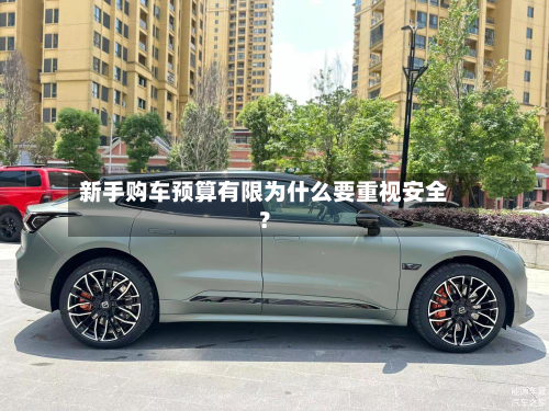 新手购车预算有限为什么要重视安全?-第3张图片