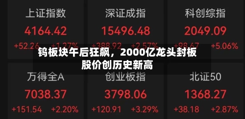 钨板块午后狂飙，2000亿龙头封板股价创历史新高-第2张图片