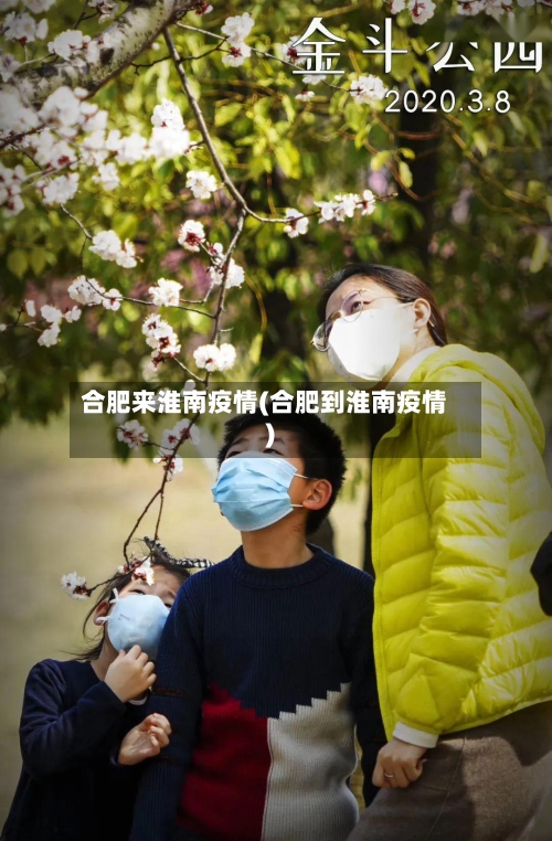 合肥来淮南疫情(合肥到淮南疫情)-第2张图片