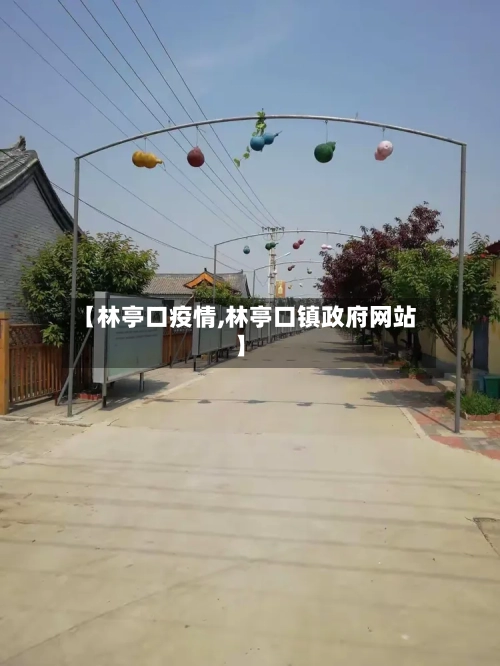 【林亭口疫情,林亭口镇政府网站】