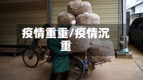 疫情重重/疫情沉重-第2张图片
