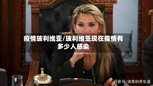 疫情玻利维亚/玻利维亚现在疫情有多少人感染