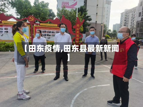 【田东疫情,田东县最新新闻】-第2张图片