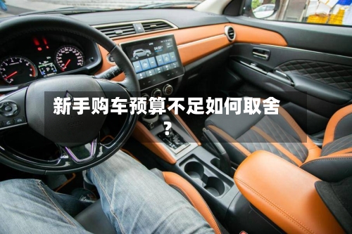 新手购车预算不足如何取舍?-第2张图片