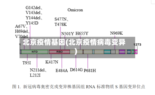 北京疫情基因(北京疫情病毒变异)-第2张图片