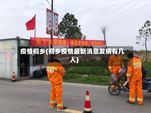 疫情桐乡(桐乡疫情最新消息发病有几人)