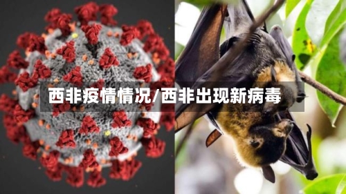 西非疫情情况/西非出现新病毒-第3张图片