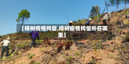 【樟树疫情拘留,樟树疫情拘留所在哪里】