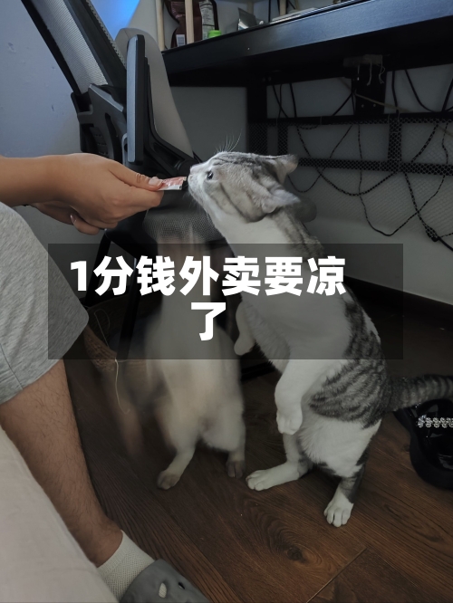 1分钱外卖要凉了
