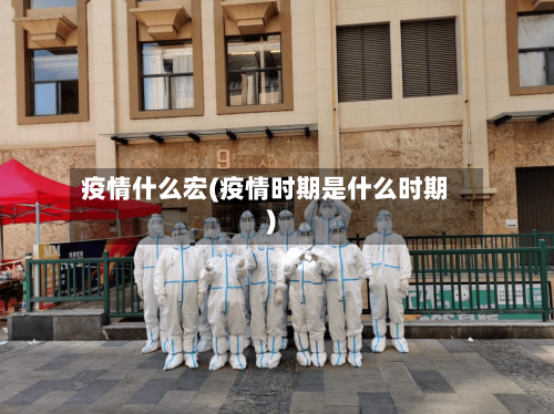 疫情什么宏(疫情时期是什么时期)
