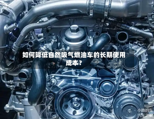 如何降低自然吸气燃油车的长期使用成本?-第2张图片