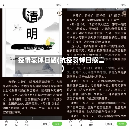 疫情哀悼日感(抗疫哀悼日感言)-第2张图片