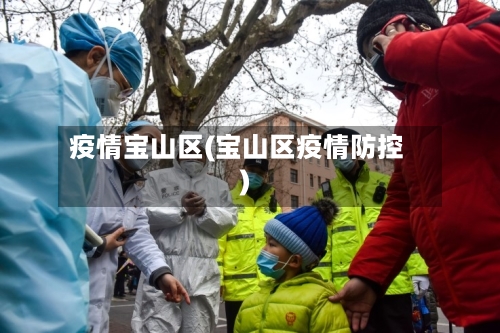 疫情宝山区(宝山区疫情防控)-第2张图片