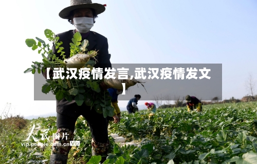 【武汉疫情发言,武汉疫情发文】