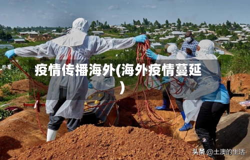 疫情传播海外(海外疫情蔓延)