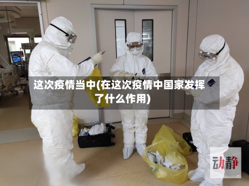 这次疫情当中(在这次疫情中国家发挥了什么作用)