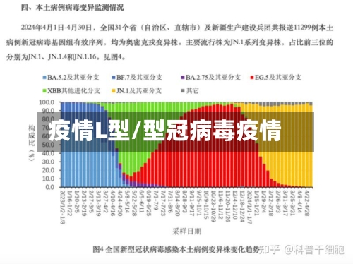 疫情L型/型冠病毒疫情