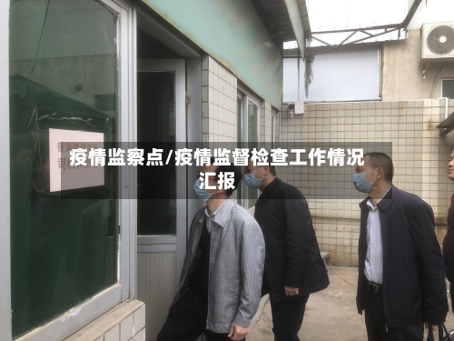 疫情监察点/疫情监督检查工作情况汇报
